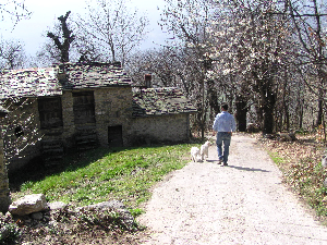 Old mule track