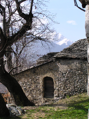 old wine store